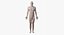 Full Male And Female Anatomy Set Static