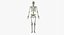 Full Male And Female Anatomy Set Static
