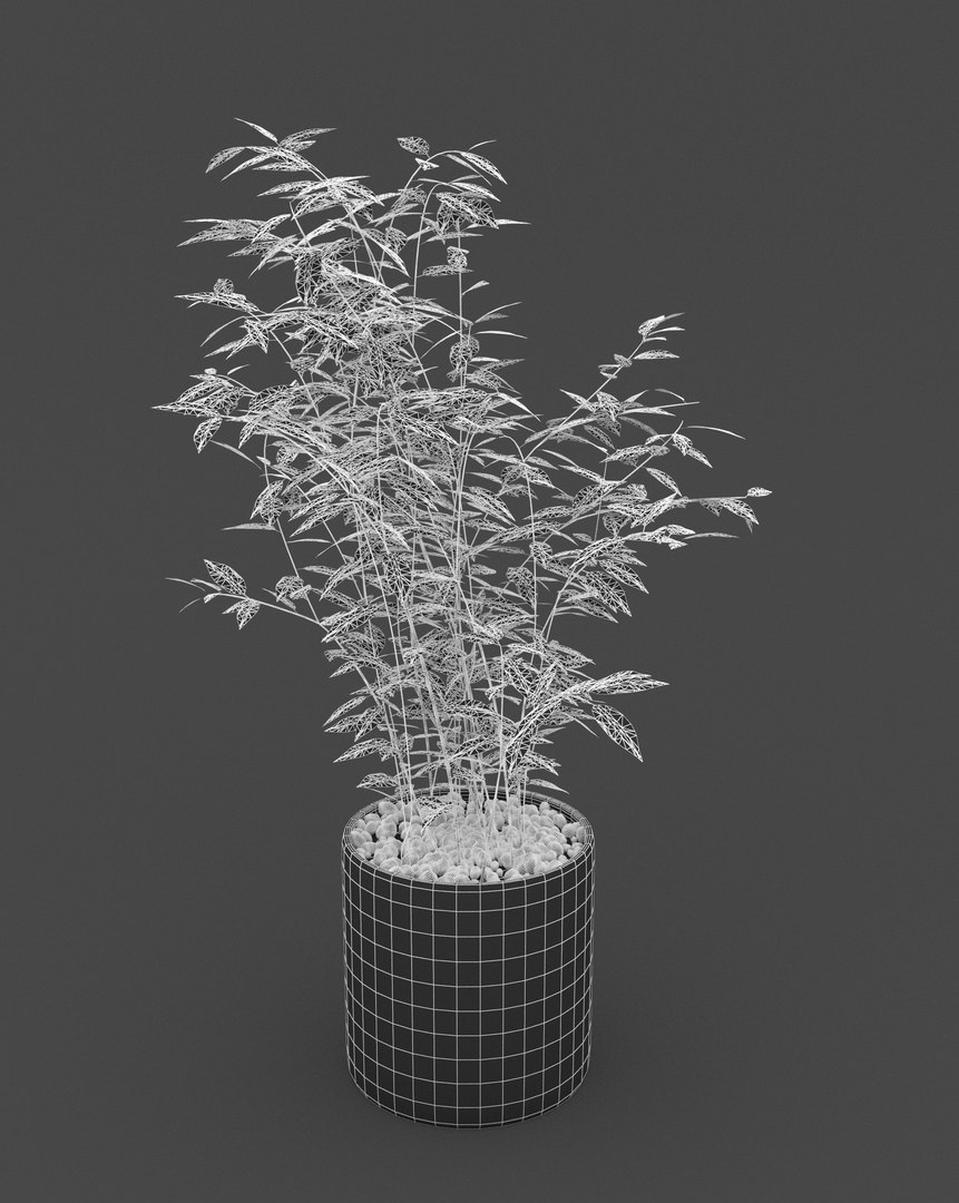 3D home plant interiors https://p.turbosquid.com/ts-thumb/oe/bzFBIG/etycONu5/wf01/jpg/1600702441/1920x1080/fit_q87/1873498d4eeb8ae40699c024b9431ea418b7ade3/wf01.jpg