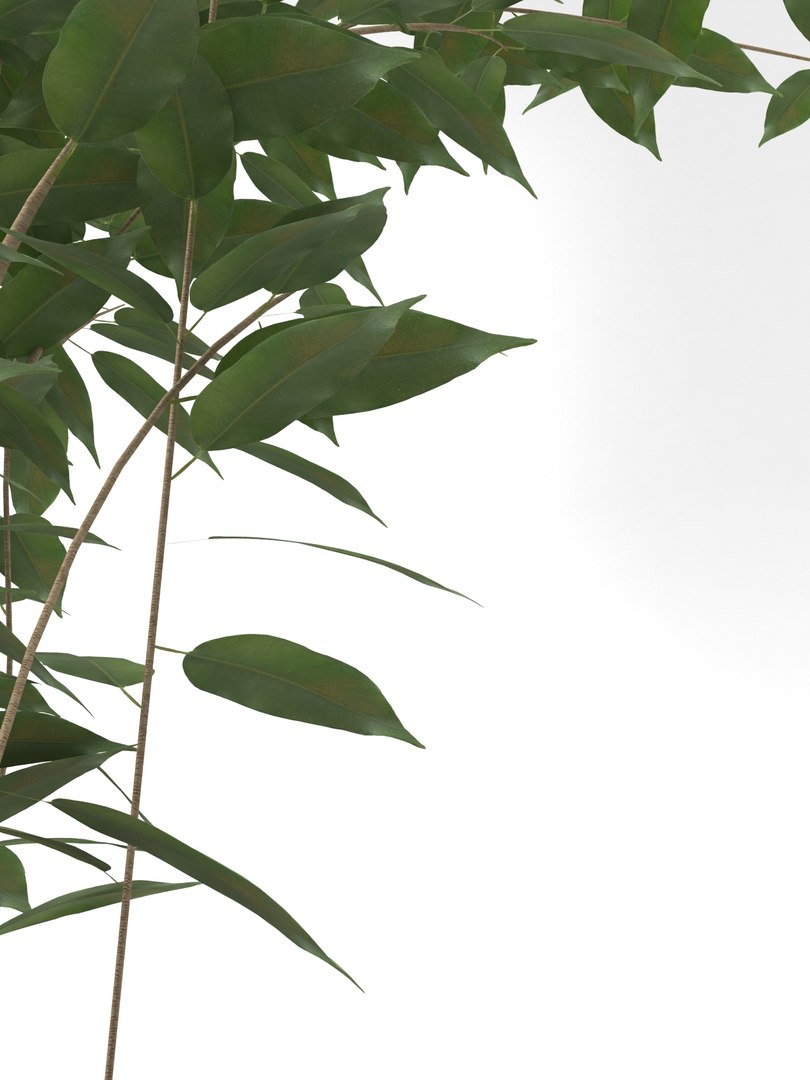 3D home plant interiors https://p.turbosquid.com/ts-thumb/oe/bzFBIG/hMLMRP4o/06/jpg/1600701468/1920x1080/fit_q87/632b8233aabaced5eac205475e5801220459286d/06.jpg