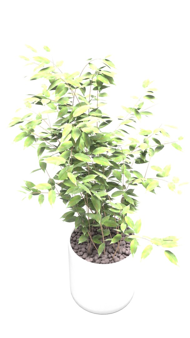 3D home plant interiors https://p.turbosquid.com/ts-thumb/oe/bzFBIG/lpBdhcy8/02/jpg/1600701468/1920x1080/fit_q87/34fd33790b0bdf57a7fea33e37683a42192f68f7/02.jpg