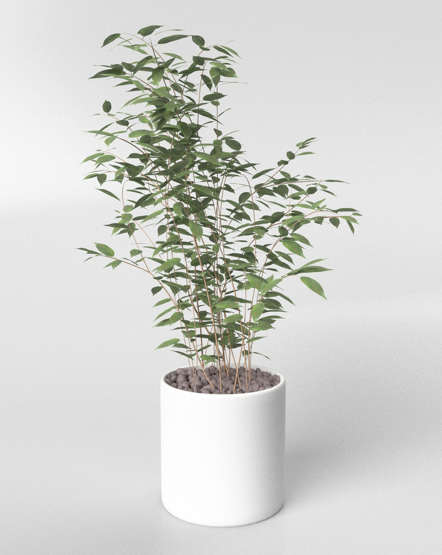 3D home plant interiors https://p.turbosquid.com/ts-thumb/oe/bzFBIG/uNOKikTn/turn/jpg/1600703078/1920x1080/turn_fit_q99/fa69f04487a7422301875b46aa584febcef6eeb8/turn-1.jpg