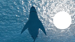 Higth polly White shark RIGGED made in Blender Cycles render model