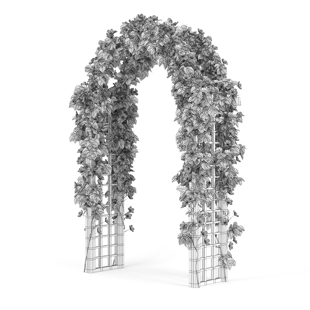 3D model convolvulus https://p.turbosquid.com/ts-thumb/oe/gEolhr/J6hKTSdS/preview_06/jpg/1518960978/1920x1080/fit_q87/bbc524c28a22f24ac8b8bbf713c47ac90485ea53/preview_06.jpg