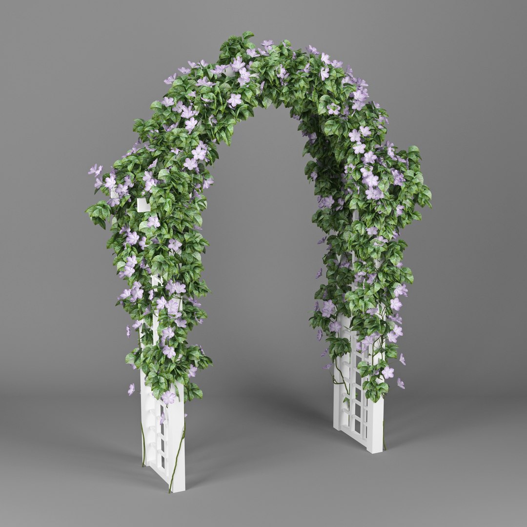 3D model convolvulus https://p.turbosquid.com/ts-thumb/oe/gEolhr/f4f7OY56/preview_03/jpg/1518960957/1920x1080/fit_q87/f7ae0126edcd3897f84616ddcdb41fa8575a266c/preview_03.jpg
