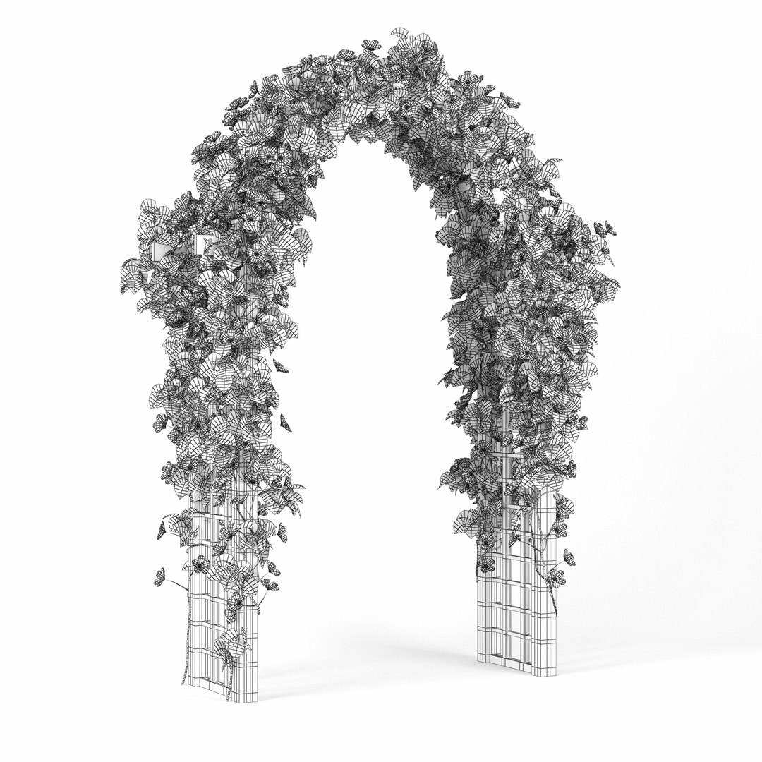 3D model convolvulus https://p.turbosquid.com/ts-thumb/oe/gEolhr/kp6anfPc/preview_07/jpg/1518960989/1920x1080/fit_q87/6acc79b2d66f88a2e44651f741b9f872ccff73e6/preview_07.jpg