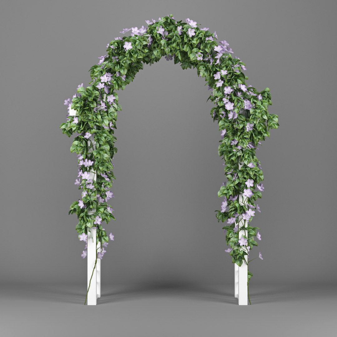3D model convolvulus https://p.turbosquid.com/ts-thumb/oe/gEolhr/yijNj2wQ/preview_02/jpg/1518960948/1920x1080/fit_q87/95bde42b63178063d8235b6e6006bce2c34749a0/preview_02.jpg