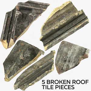 5 broken roof tile 3D model