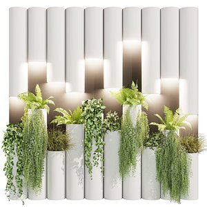 Collection plant vol 632 - decoration - Lady ferns - ivy - pothos - bush 3D model