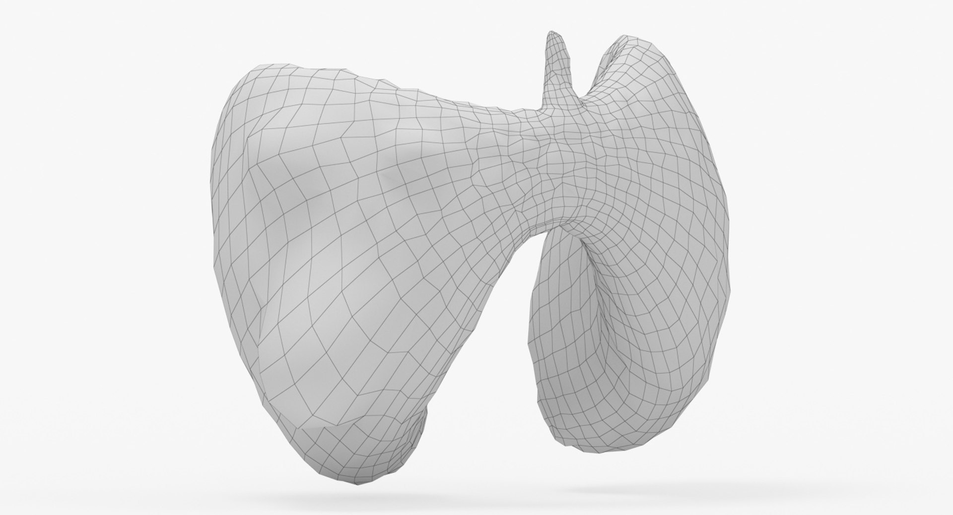 papillary cancer thyroid 3D model https://p.turbosquid.com/ts-thumb/oe/kvoIUx/Sam9NoXG/20_front_view_wireframe/jpg/1546076284/1920x1080/fit_q87/3956ce53d970b514db45fa0b4697c9b9be1f3363/20_front_view_wireframe.jpg