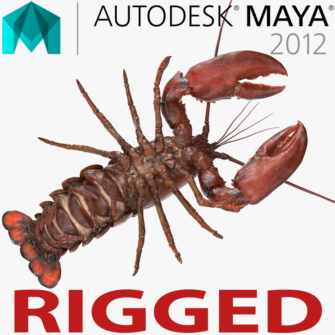 Lobster Rigged for Maya 3D model preview
