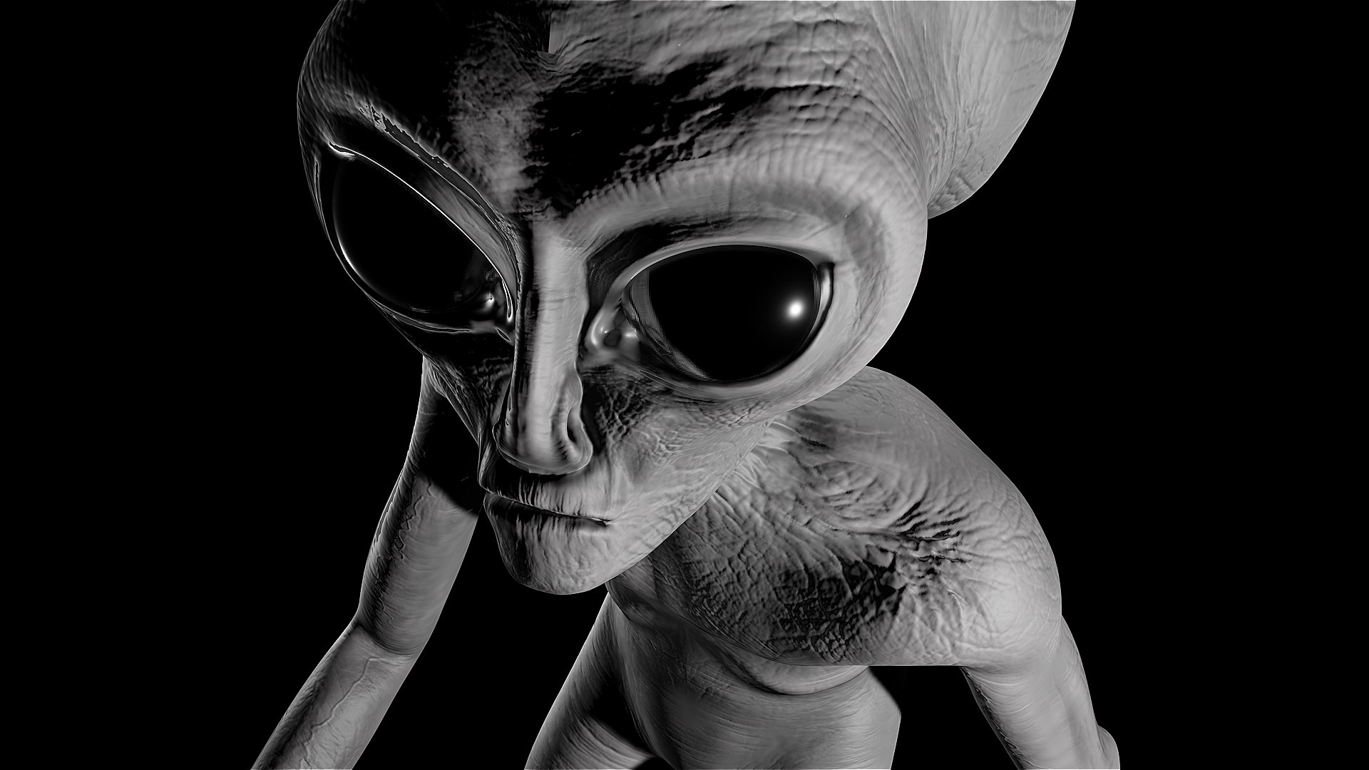 3D model grey alien https://p.turbosquid.com/ts-thumb/of/IyrAW0/57/preview7/jpg/1615443342/1920x1080/fit_q87/50cd47b460032d3a300509e944859b99bafa3f95/preview7.jpg