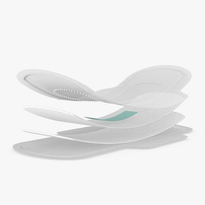 Sanitary Napkin Pad