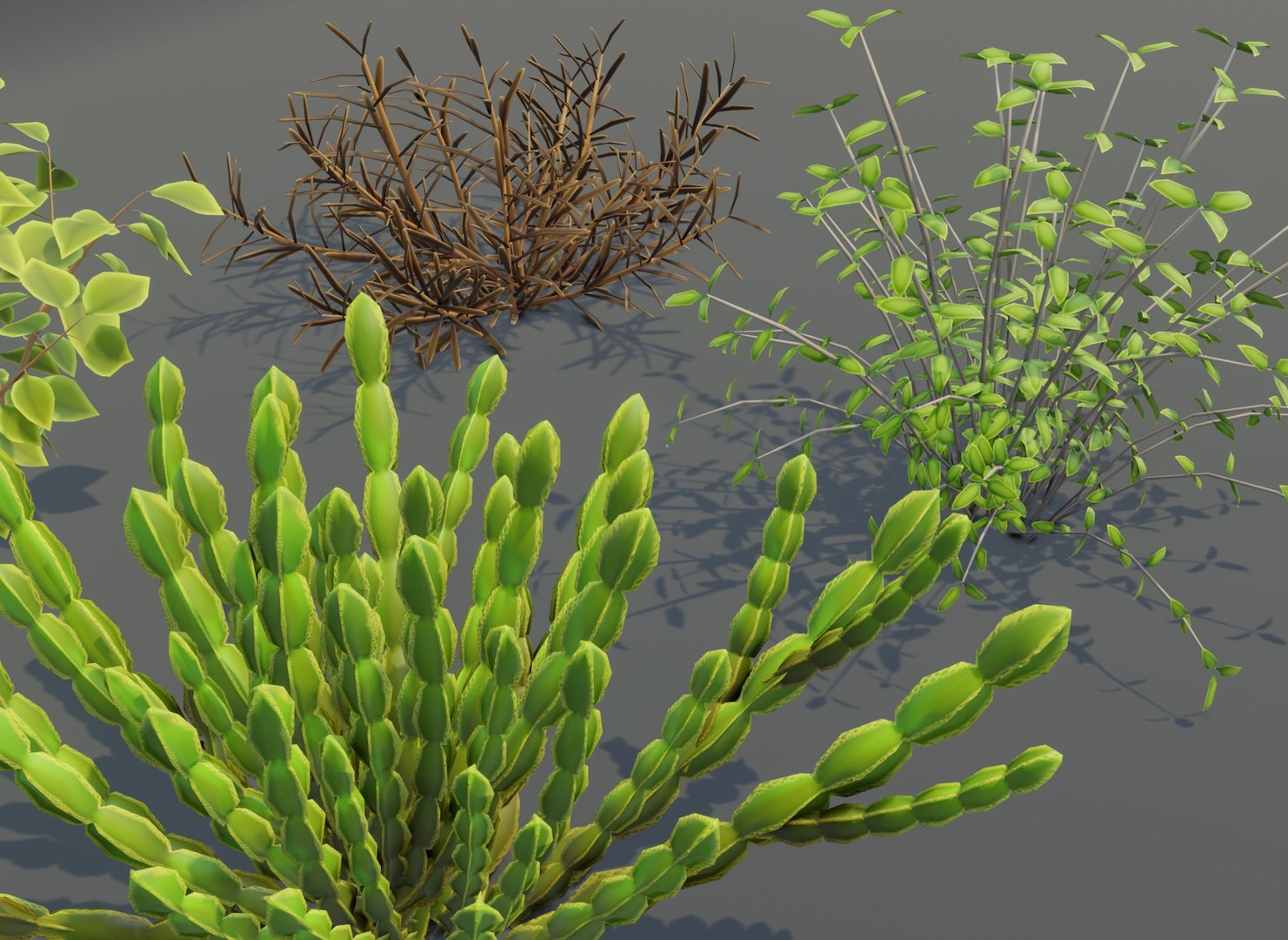 Cartoon Savanna Bushes and Shrubs model https://p.turbosquid.com/ts-thumb/of/QO197w/Hy/9/jpg/1633009181/1920x1080/fit_q87/9dfc329507e31488826d525822ac6633c2646b34/9.jpg