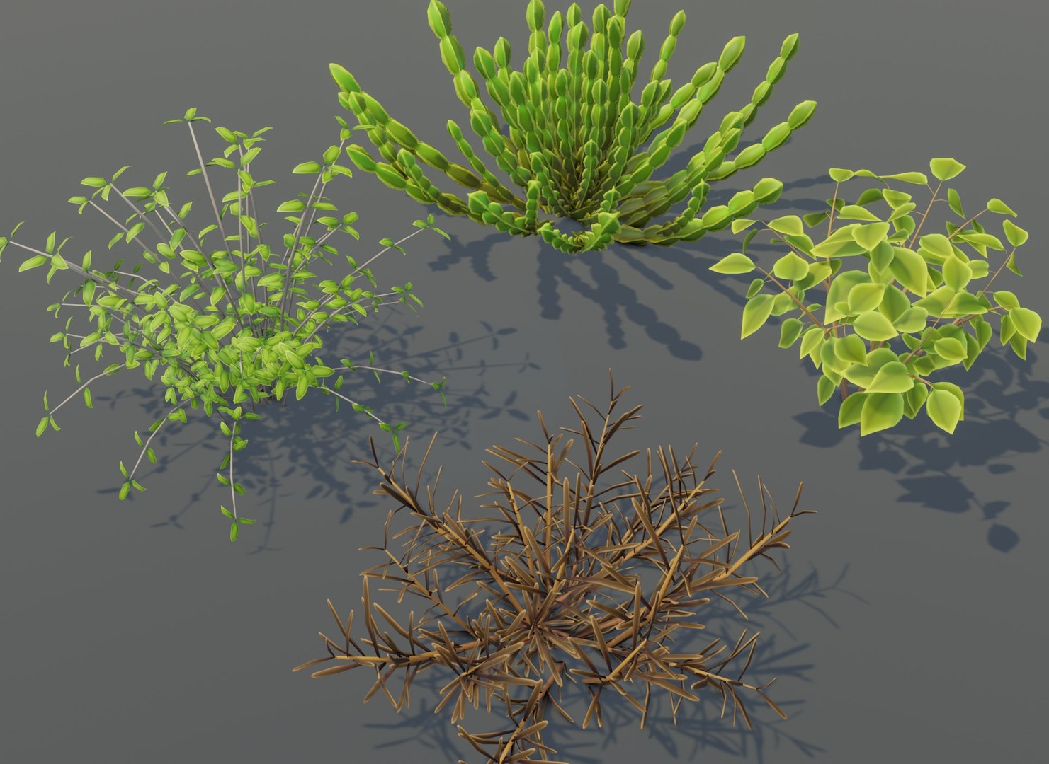 Cartoon Savanna Bushes and Shrubs model https://p.turbosquid.com/ts-thumb/of/QO197w/tc/7/jpg/1633009165/1920x1080/fit_q87/00fa4b8d9738fe2c7ccc074c8b3ee08854a32657/7.jpg