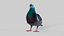 Pombo