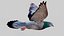 Pombo