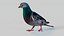 Pombo