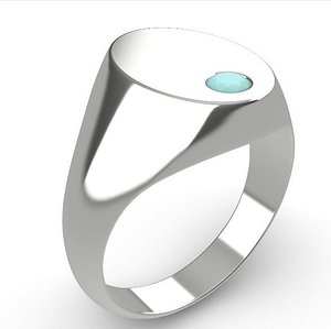 3D ring form model
