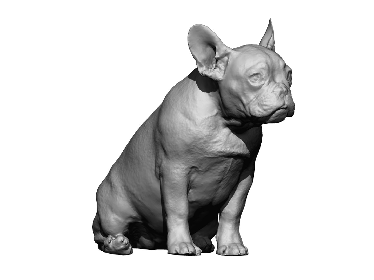 3D dog scanned photogrammetry model https://p.turbosquid.com/ts-thumb/of/XszswY/5NLxU904/7/jpg/1542975686/1920x1080/fit_q87/e53699dae39efc0718a3c31f8440aa8ff27f022b/7.jpg