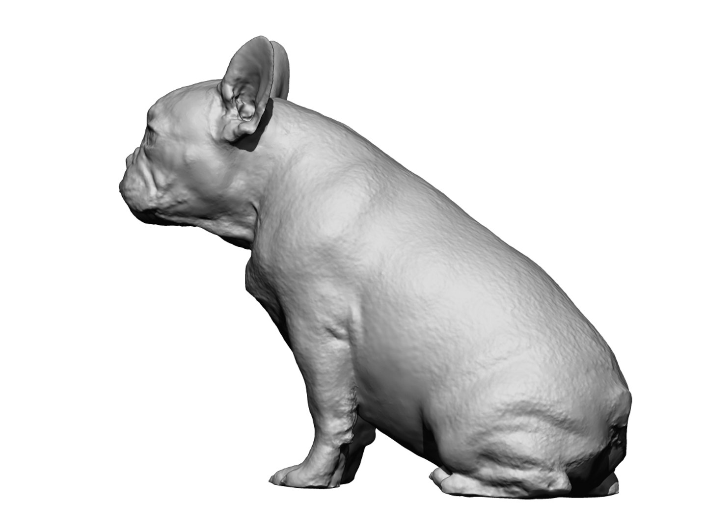 3D dog scanned photogrammetry model https://p.turbosquid.com/ts-thumb/of/XszswY/t4DFynXa/3/jpg/1542975629/1920x1080/fit_q87/4b72992949dc73a696d4754996eea25c53ae7ccb/3.jpg