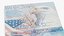 USA Passport Open Page