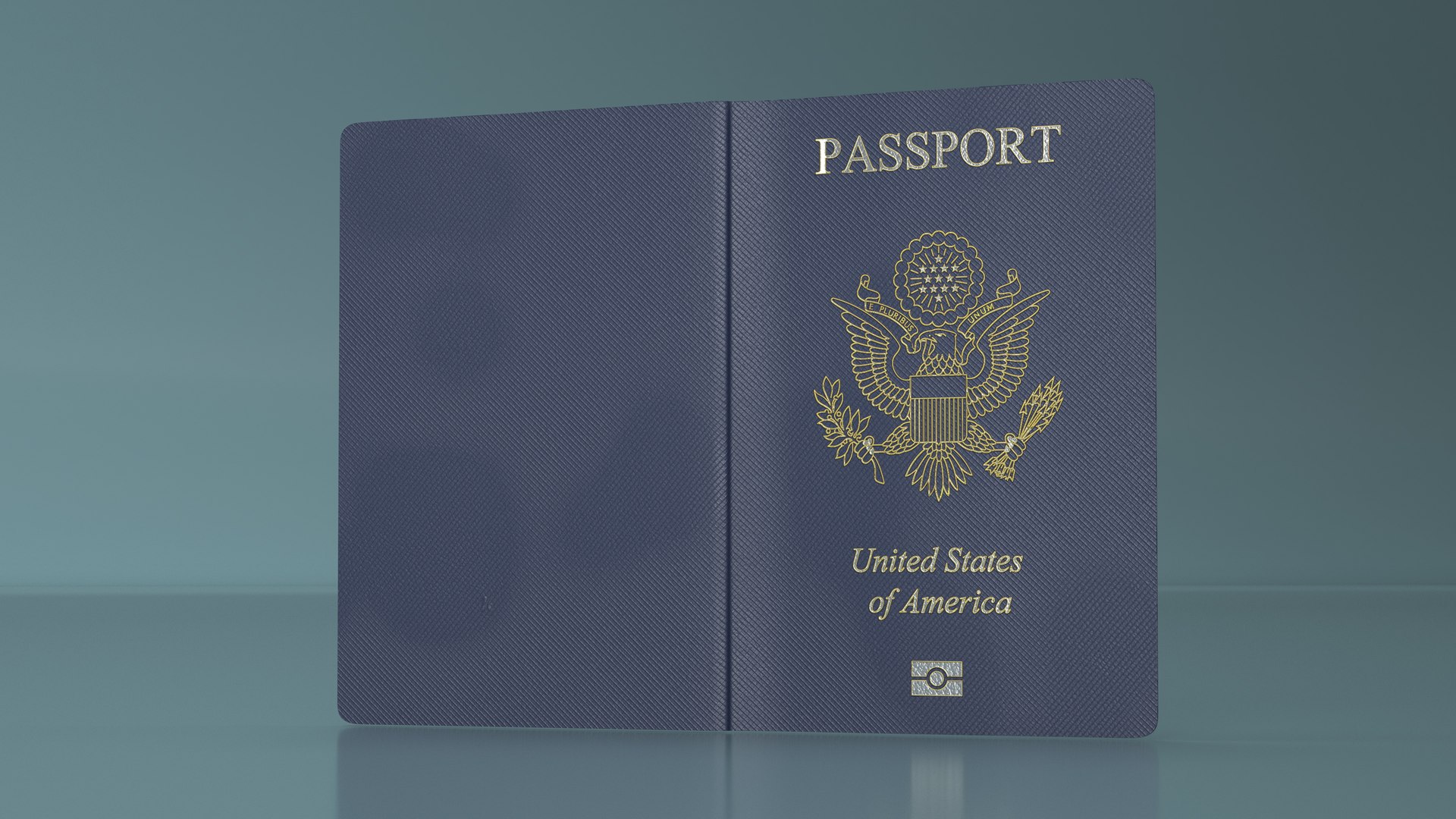 USA Passport Open Page 3D model https://p.turbosquid.com/ts-thumb/of/igCBuK/cs/usapassportopenpage3dsmodel013/jpg/1713726873/1920x1080/fit_q87/7f2ecb0af085f59bdddeb3b36b61f4157c7137bf/usapassportopenpage3dsmodel013.jpg