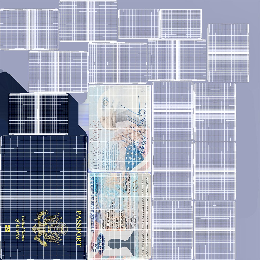 USA Passport Open Page 3D model https://p.turbosquid.com/ts-thumb/of/igCBuK/s1/usapassportopenpage3dsmodel023/jpg/1713726902/1920x1080/fit_q87/4a197b287133012e05436b4439daf66cfd68fc84/usapassportopenpage3dsmodel023.jpg