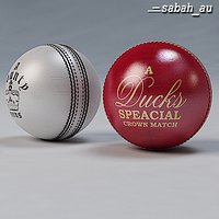 Cricket Ball Standard