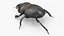3D Mud Beetle Dirty Rigged for Cinema 4D model