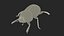 3D Mud Beetle Dirty Rigged for Cinema 4D model