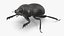 3D Mud Beetle Dirty Rigged for Cinema 4D model
