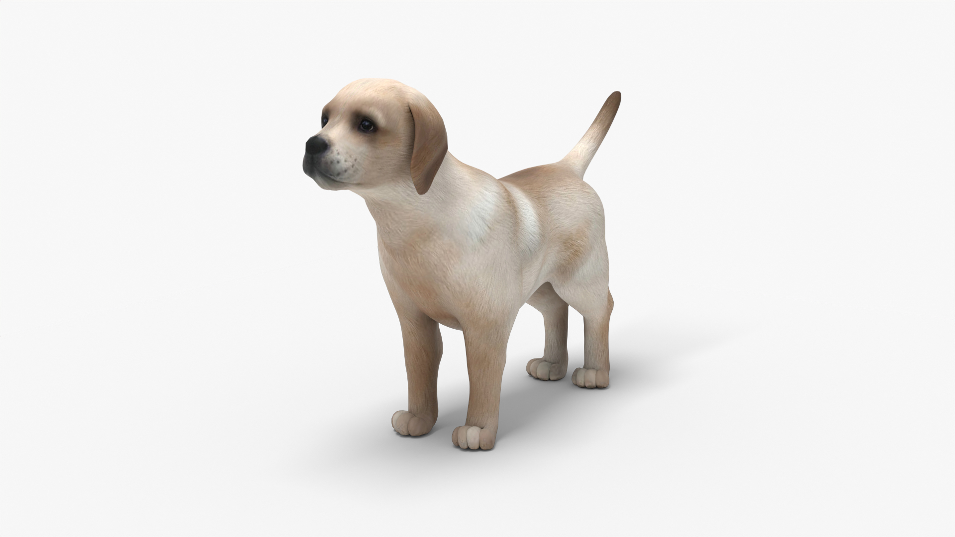 Puppy RIGGED Model - TurboSquid 2217792