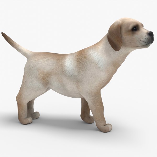 Puppy RIGGED model