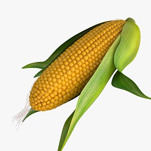 corn 3d max