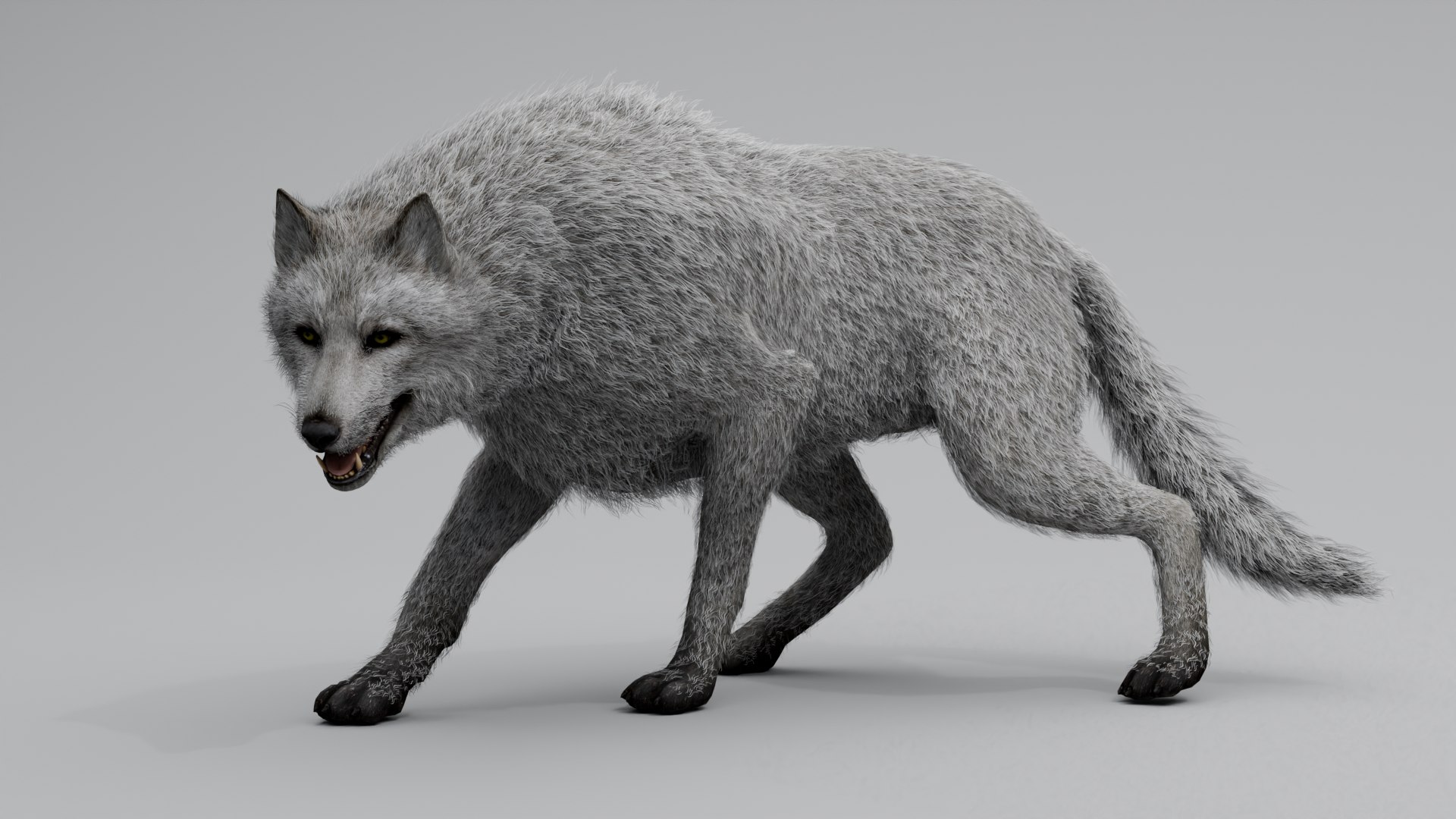 3D Wolf White https://p.turbosquid.com/ts-thumb/og/NnsjX8/5N/4/png/1754120385/1920x1080/fit_q87/5da1c30191f793c843fc872d657c06ca749673b5/4.jpg