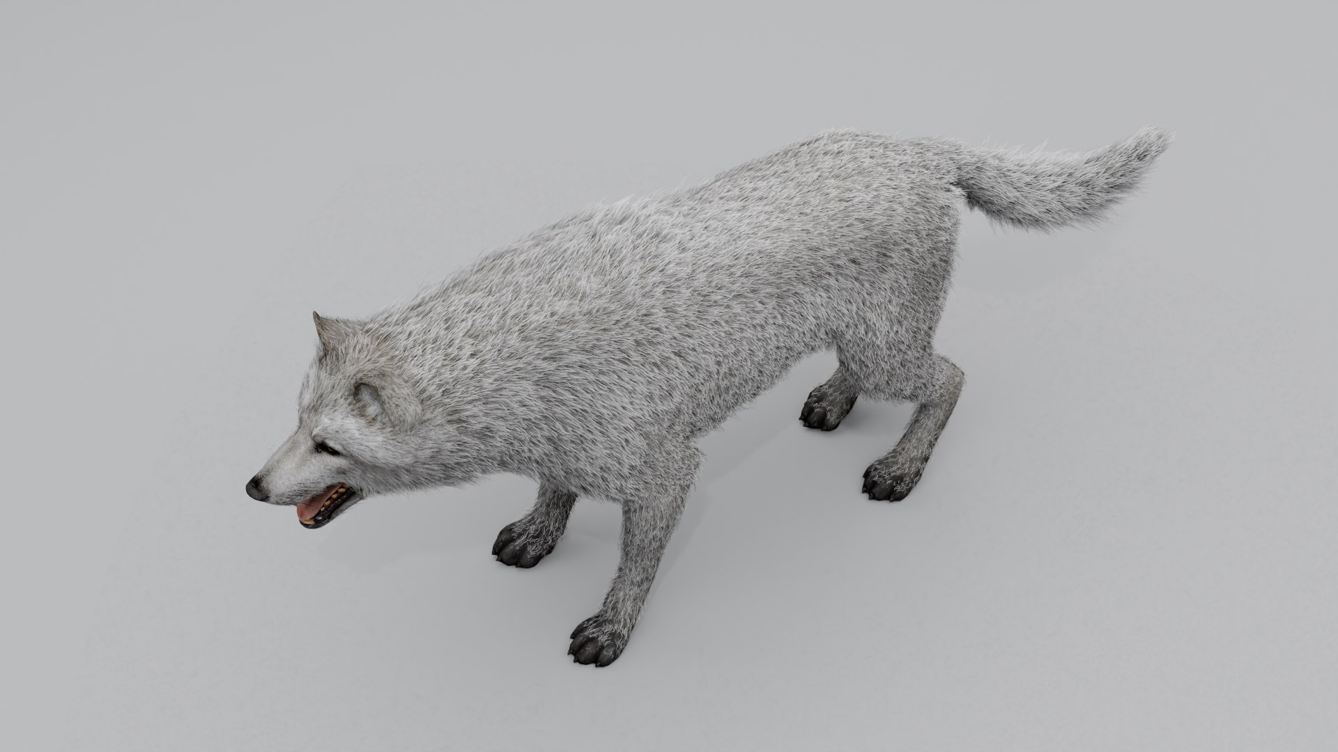 3D Wolf White https://p.turbosquid.com/ts-thumb/og/NnsjX8/9F/10/png/1754120391/1920x1080/fit_q87/0714e17a1f8c6cc1cea09c3ed225001a5627d2f4/10.jpg