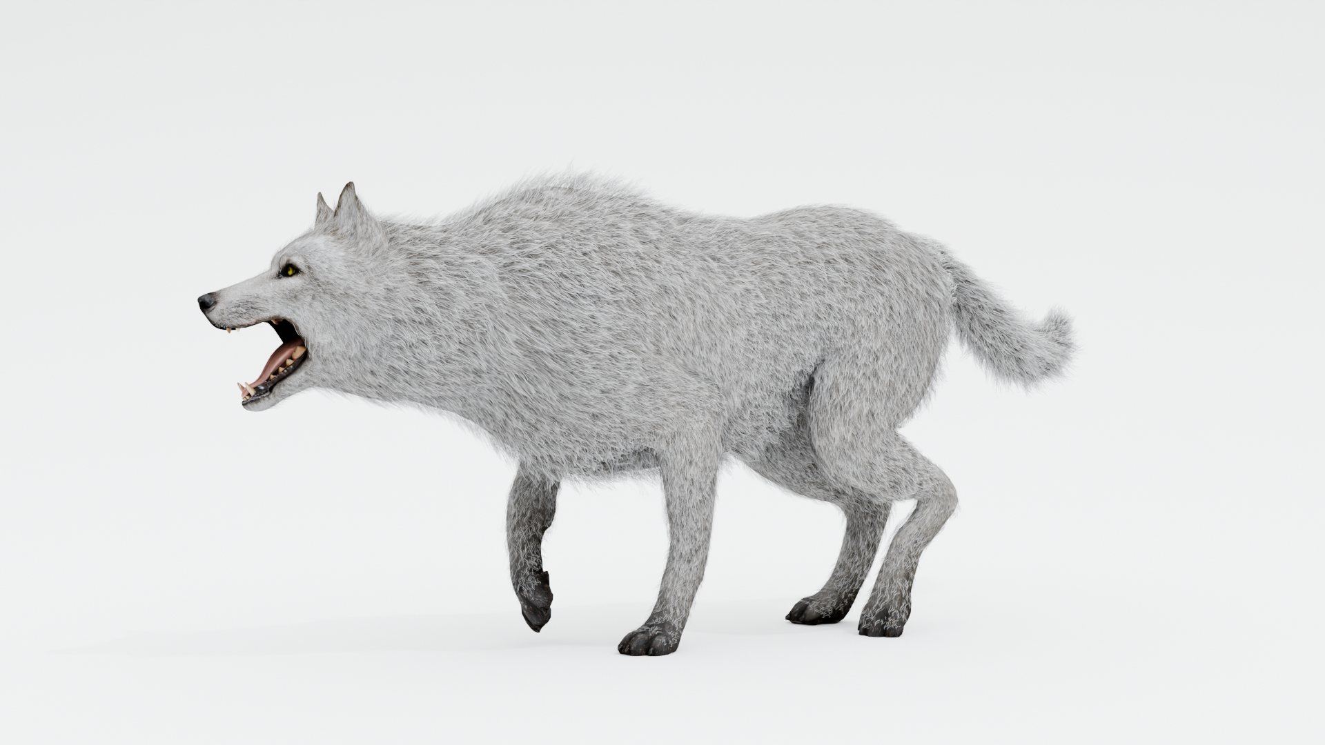 3D Wolf White https://p.turbosquid.com/ts-thumb/og/NnsjX8/Fh/white_wolf_walk/png/1754120413/1920x1080/turn_fit_q99/770f44a2d6511598cb265cd848b101c8cdf713e5/white_wolf_walk-1.jpg