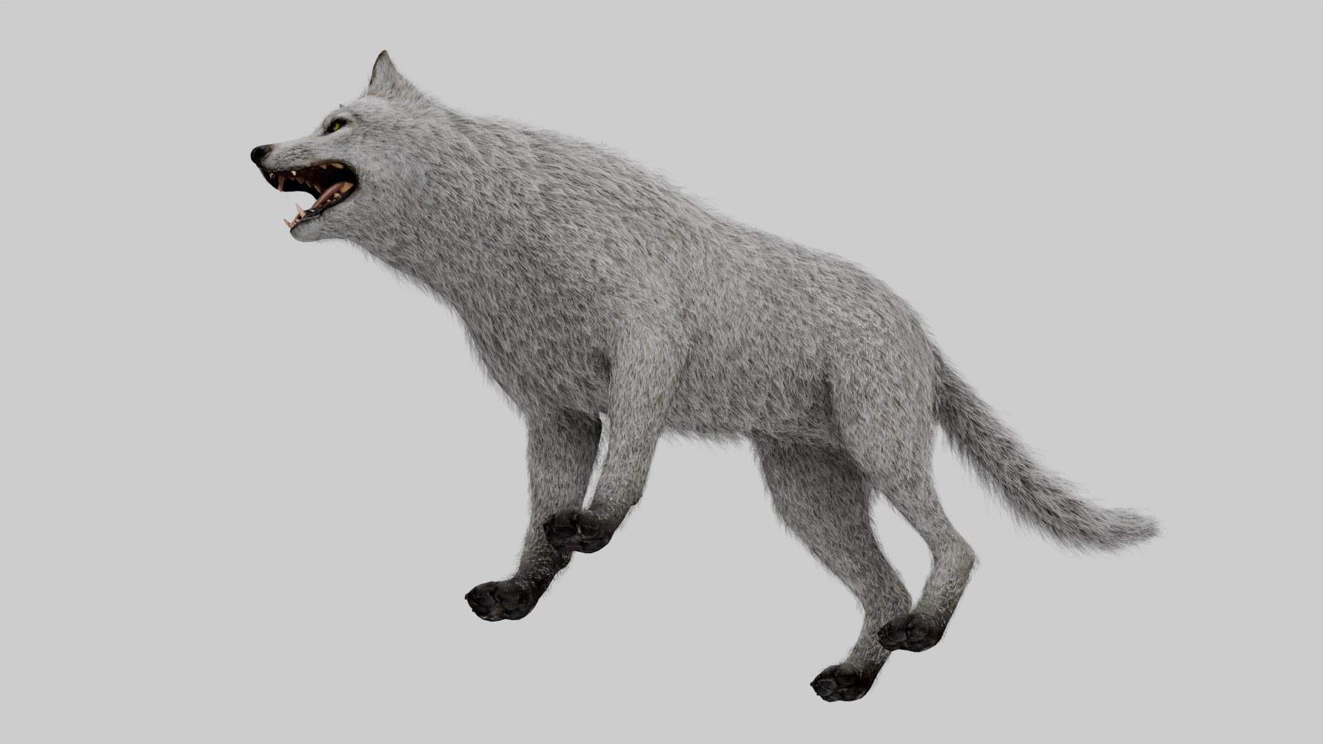 3D Wolf White https://p.turbosquid.com/ts-thumb/og/NnsjX8/q4/11/png/1754120392/1920x1080/fit_q87/8f23cc2c2416fbcdfded2c5fa2113e23e65ef6d1/11.jpg