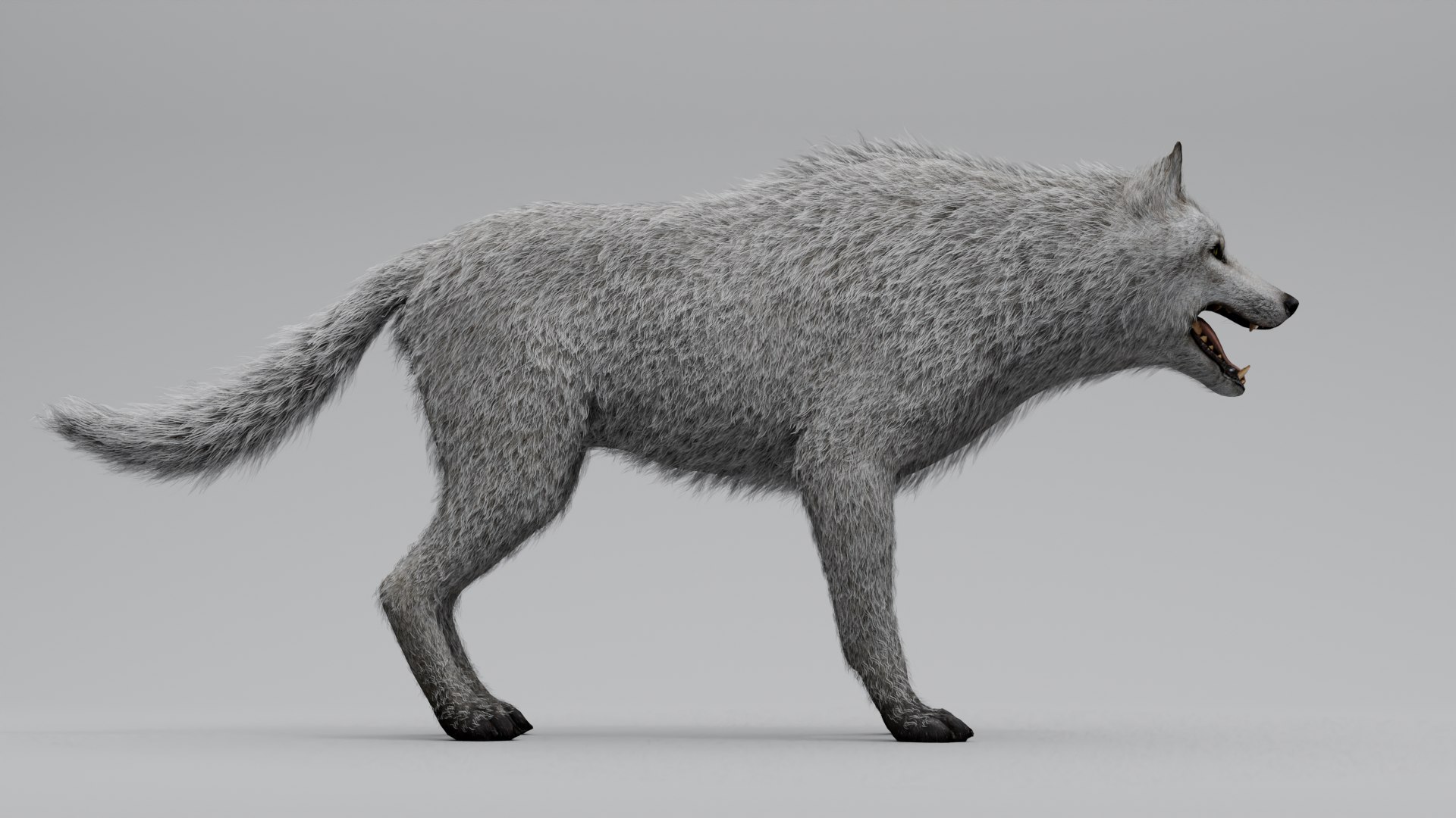 3D Wolf White https://p.turbosquid.com/ts-thumb/og/NnsjX8/yN/9/png/1754120390/1920x1080/fit_q87/d3e25a46aac2b31eb0d8546ab45f542138c0e662/9.jpg