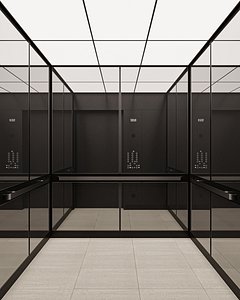 Elevator luxurious and sophisticated style