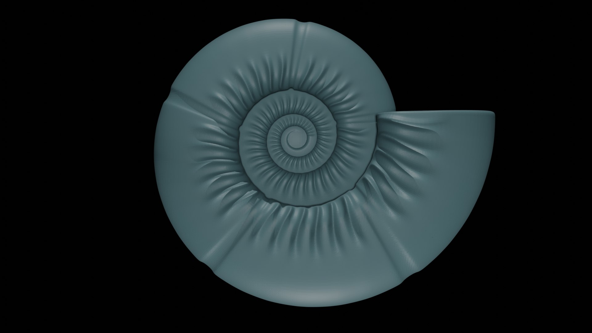 Ammonoid Shell With Umbilical Ribs And Constriction 3D - TurboSquid 2301351