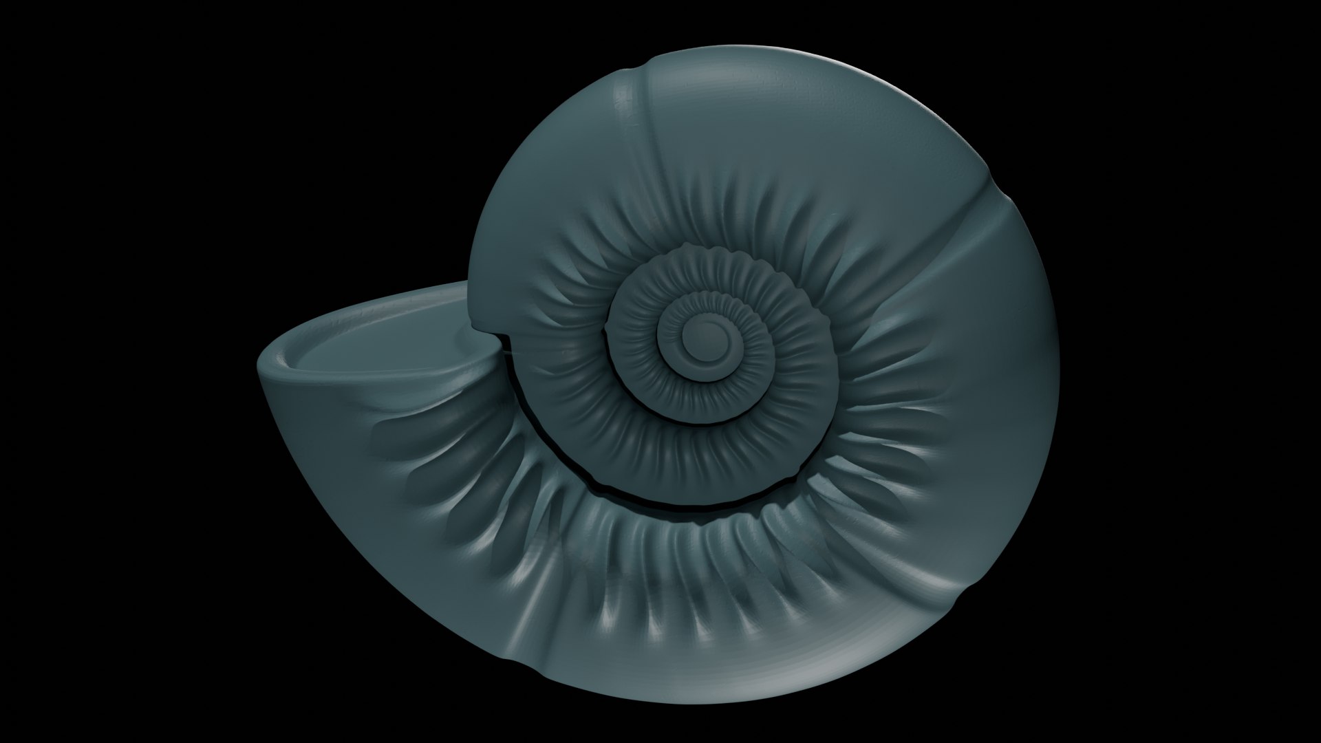 Ammonoid Shell With Umbilical Ribs And Constriction 3D - TurboSquid 2301351