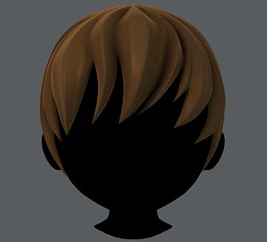 3D boy hair