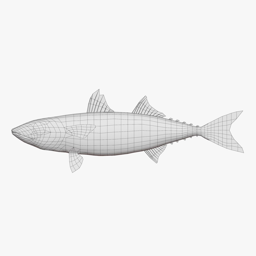 3D Chub mackerel - Masaba - Scomber japonicus https://p.turbosquid.com/ts-thumb/og/jm8Ia9/0X/untitled4/jpg/1775541207/1920x1080/fit_q87/b755fdbd465ddb19ffa3a5a5a982027a6c5e48b8/untitled4.jpg