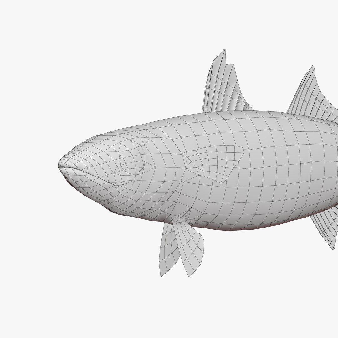 3D Chub mackerel - Masaba - Scomber japonicus https://p.turbosquid.com/ts-thumb/og/jm8Ia9/vg/untitled5/jpg/1775541207/1920x1080/fit_q87/22b88df71c64e1687884aa937f9a6ed23324ff91/untitled5.jpg
