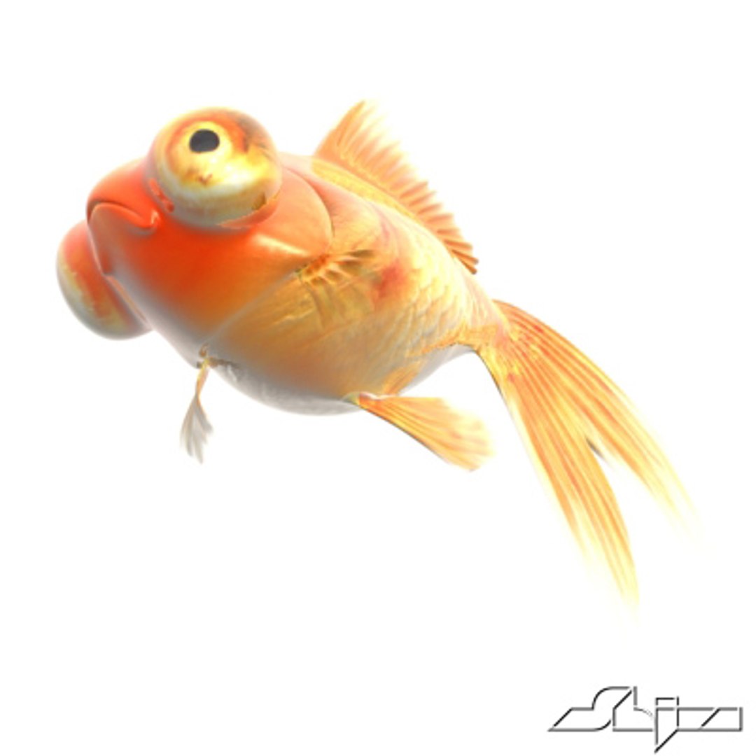 Red Goldfish 3d Model