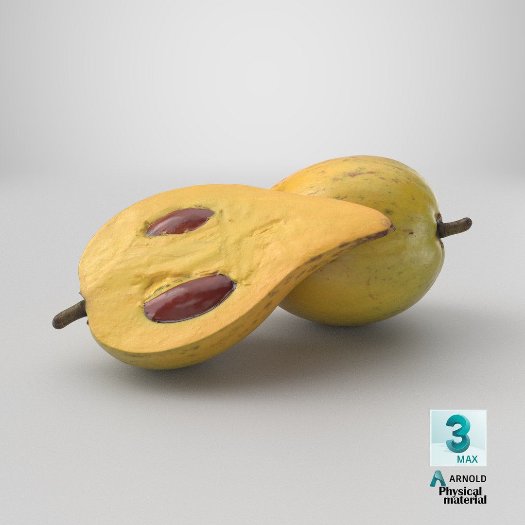 Egg Fruit model https://p.turbosquid.com/ts-thumb/og/wxza3p/0r/stemcell_max_physical_render/png/1783624693/1920x1080/fit_q87/582e97141a51c3f22e61a422050d155a71f4a32f/stemcell_max_physical_render.jpg