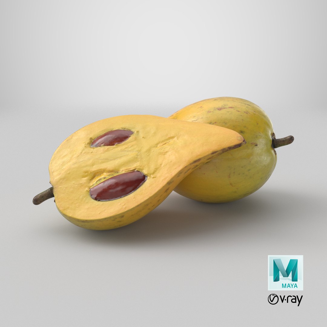 Egg Fruit model https://p.turbosquid.com/ts-thumb/og/wxza3p/1D/stemcell_maya_vray_render/png/1783624683/1920x1080/fit_q87/e71914163db6d77b00c5ce84217ff97926df3789/stemcell_maya_vray_render.jpg