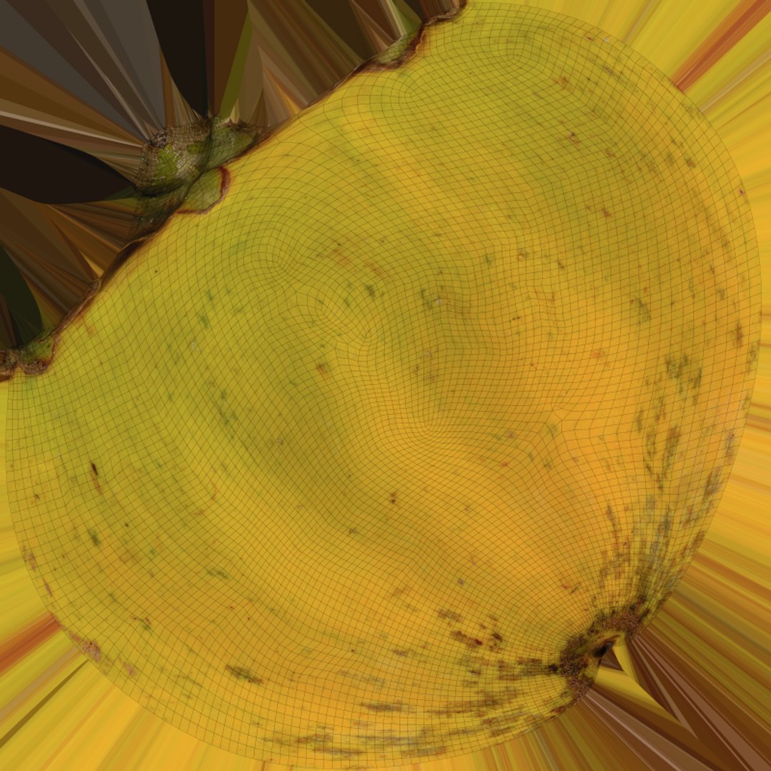 Egg Fruit model https://p.turbosquid.com/ts-thumb/og/wxza3p/2b/tiesa_e0004/png/1783326197/1920x1080/fit_q87/e180cd1fe49042d8106d8f18ac3677f41d007132/tiesa_e0004.jpg